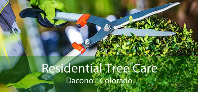 Residential Tree Care Dacono - Colorado