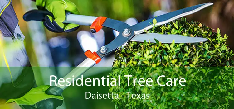 Residential Tree Care Daisetta - Texas