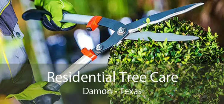 Residential Tree Care Damon - Texas