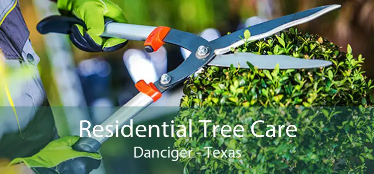 Residential Tree Care Danciger - Texas