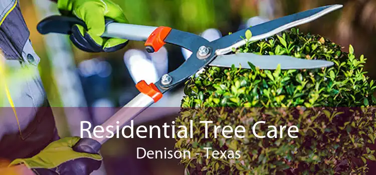 Residential Tree Care Denison - Texas