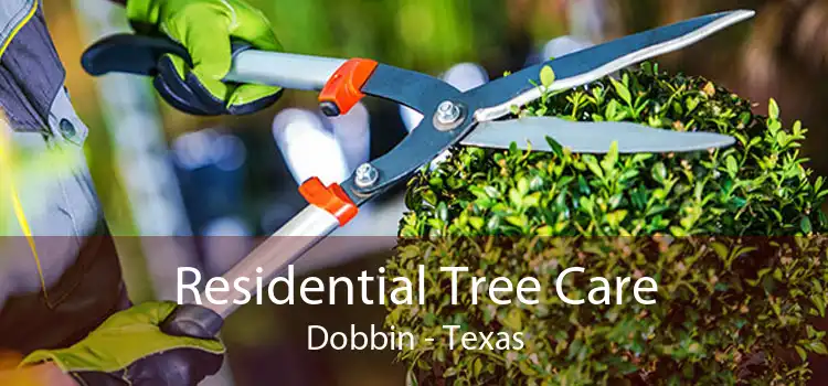 Residential Tree Care Dobbin - Texas