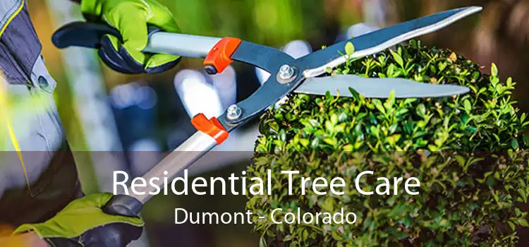 Residential Tree Care Dumont - Colorado