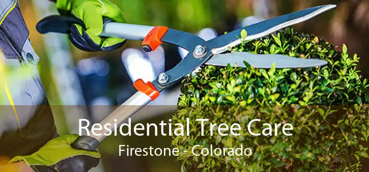 Residential Tree Care Firestone - Colorado