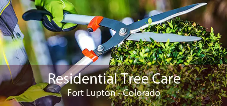 Residential Tree Care Fort Lupton - Colorado