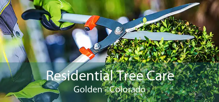 Residential Tree Care Golden - Colorado