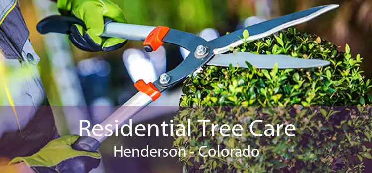 Residential Tree Care Henderson - Colorado