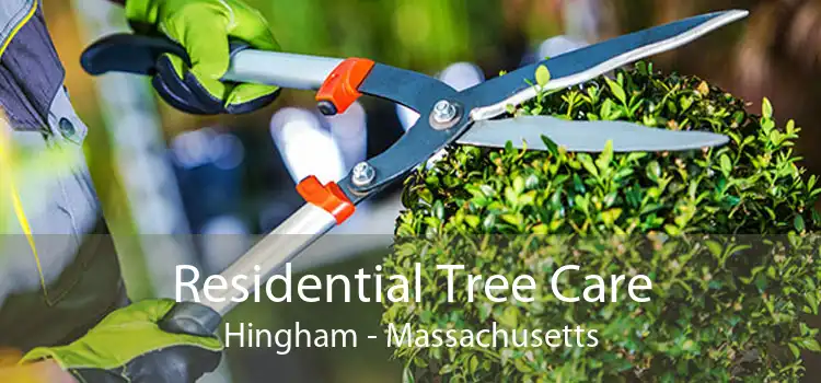 Residential Tree Care Hingham - Massachusetts