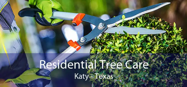 Residential Tree Care Katy - Texas