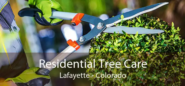 Residential Tree Care Lafayette - Colorado