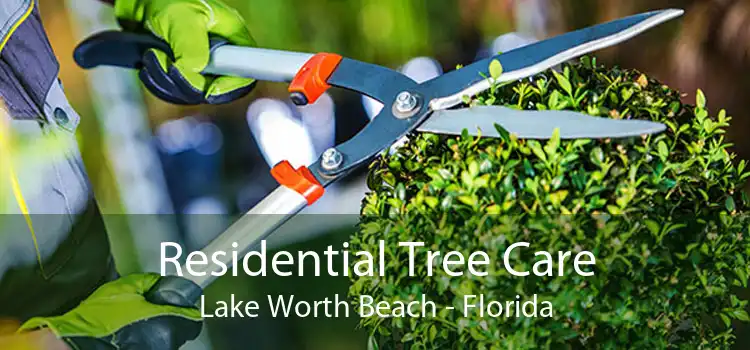 Residential Tree Care Lake Worth Beach - Florida