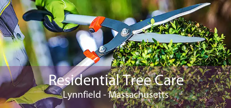 Residential Tree Care Lynnfield - Massachusetts