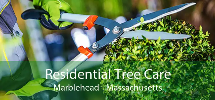 Residential Tree Care Marblehead - Massachusetts