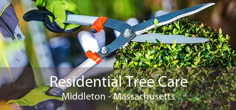 Residential Tree Care Middleton - Massachusetts