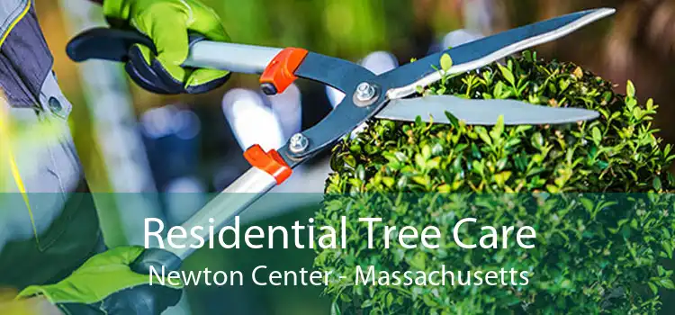 Residential Tree Care Newton Center - Massachusetts