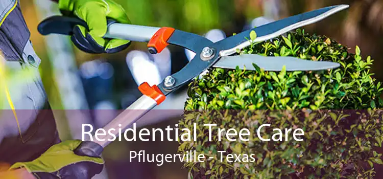 Residential Tree Care Pflugerville - Texas