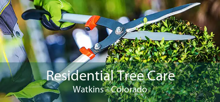 Residential Tree Care Watkins - Colorado