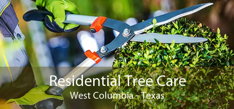 Residential Tree Care West Columbia - Texas