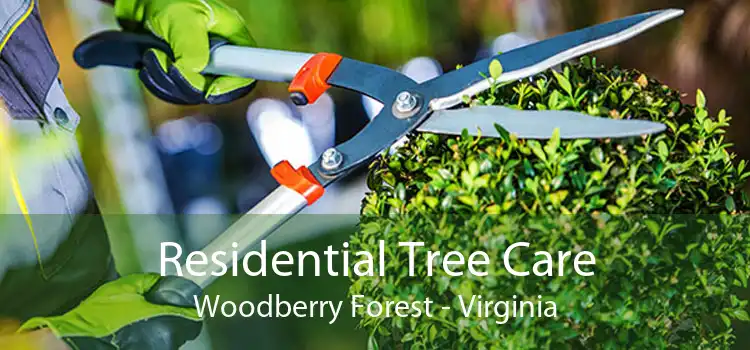 Residential Tree Care Woodberry Forest - Virginia