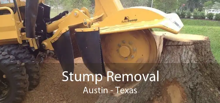 Stump Removal Austin - Texas