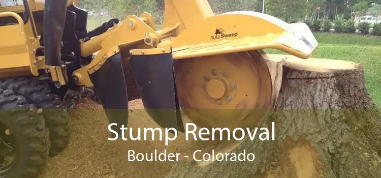 Stump Removal Boulder - Colorado