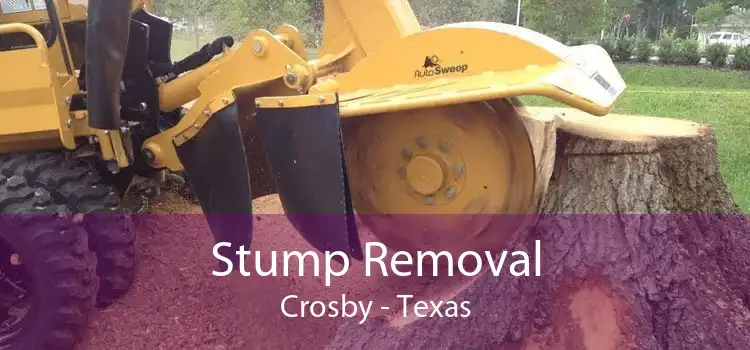 Stump Removal Crosby - Texas