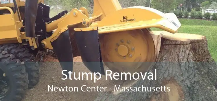 Stump Removal Newton Center - Massachusetts