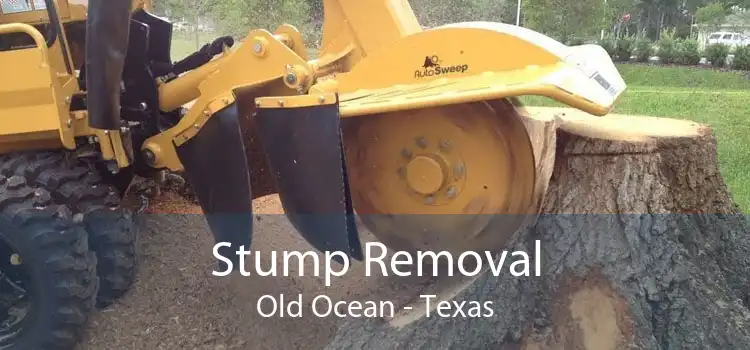 Stump Removal Old Ocean - Texas