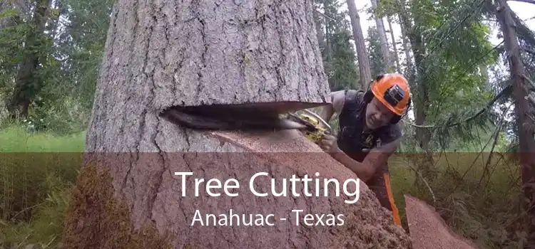 Tree Cutting Anahuac - Texas