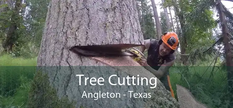 Tree Cutting Angleton - Texas