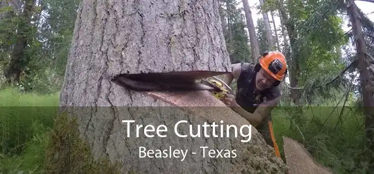 Tree Cutting Beasley - Texas