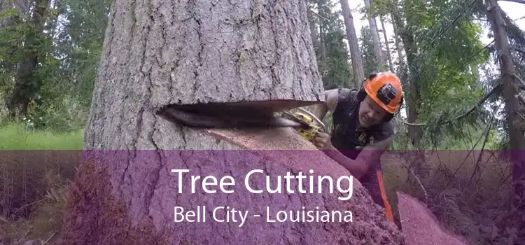 Tree Cutting Bell City - Louisiana