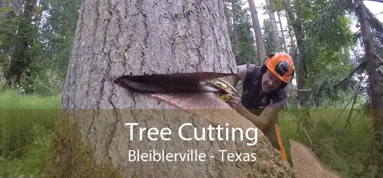 Tree Cutting Bleiblerville - Texas