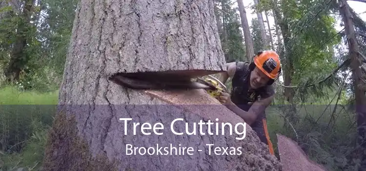 Tree Cutting Brookshire - Texas