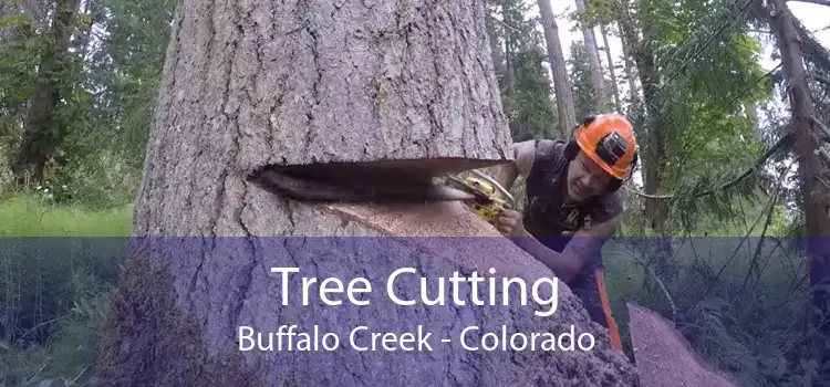 Tree Cutting Buffalo Creek - Colorado