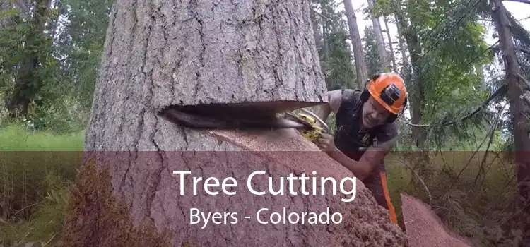 Tree Cutting Byers - Colorado