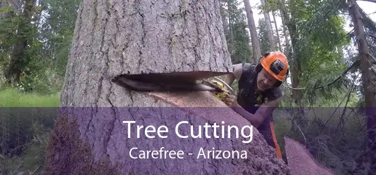 Tree Cutting Carefree - Arizona