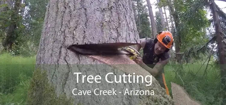 Tree Cutting Cave Creek - Arizona