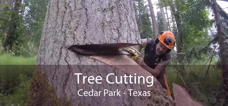 Tree Cutting Cedar Park - Texas