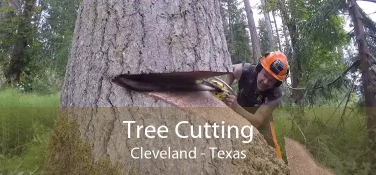 Tree Cutting Cleveland - Texas