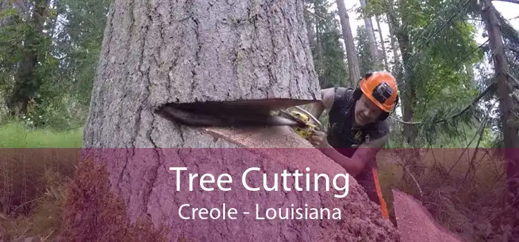 Tree Cutting Creole - Louisiana