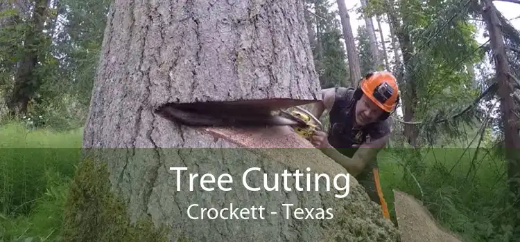 Tree Cutting Crockett - Texas