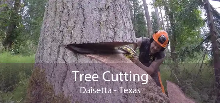 Tree Cutting Daisetta - Texas