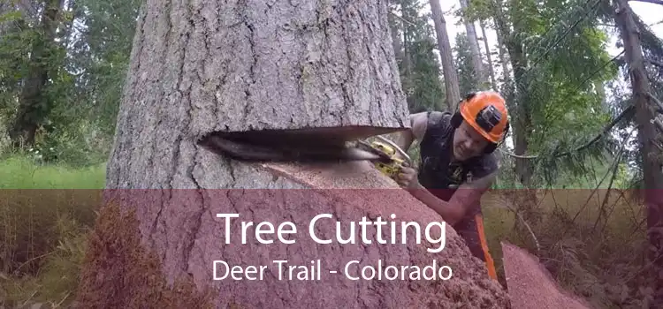 Tree Cutting Deer Trail - Colorado