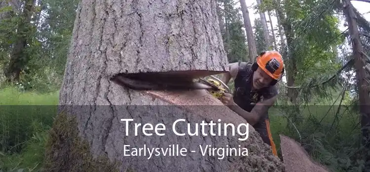 Tree Cutting Earlysville - Virginia