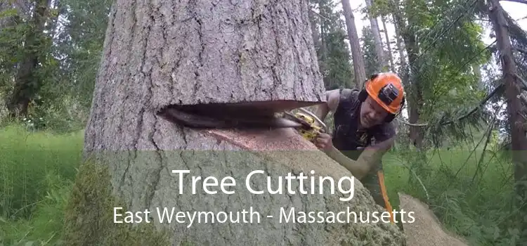 Tree Cutting East Weymouth - Massachusetts