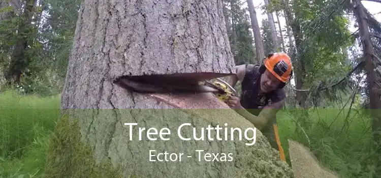 Tree Cutting Ector - Texas