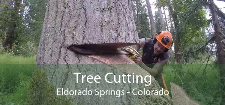 Tree Cutting Eldorado Springs - Colorado