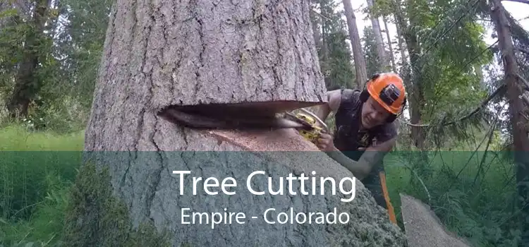 Tree Cutting Empire - Colorado