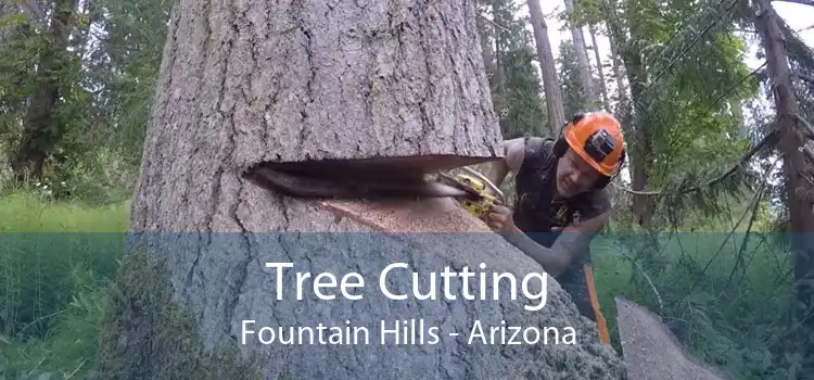 Tree Cutting Fountain Hills - Arizona